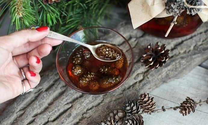 Тинктура на базата на борови пъпки за лечение на цервикална остеохондроза у дома